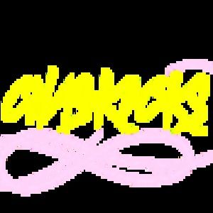 Meet your Posher, Chasity